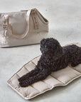 Hundetragetasche Sporta Nude / rose mit vielen smarten Details