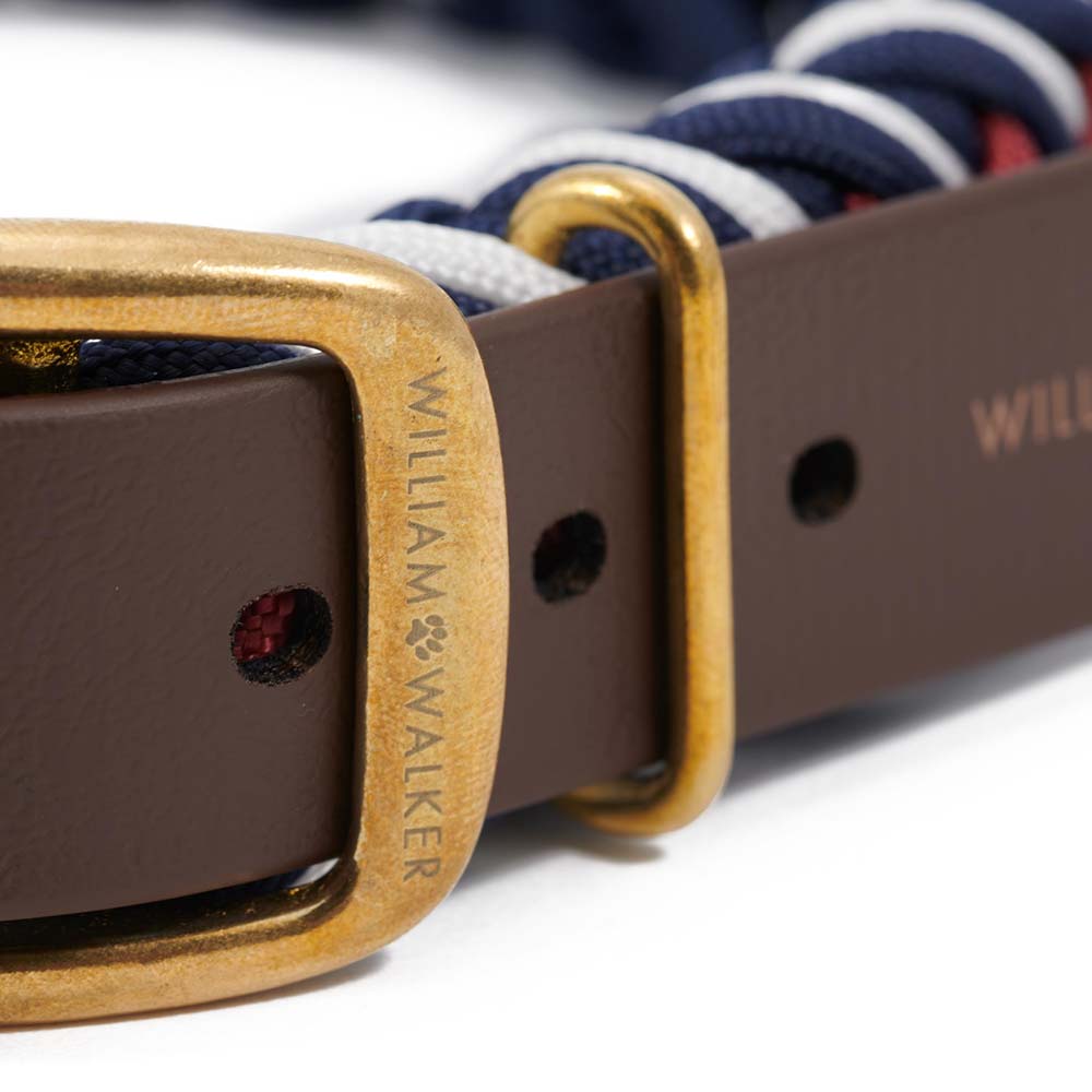 Paracord Hundehalsband Royal