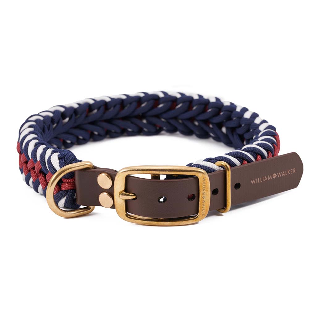 Paracord Hundehalsband Royal