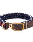 Paracord Hundehalsband Royal