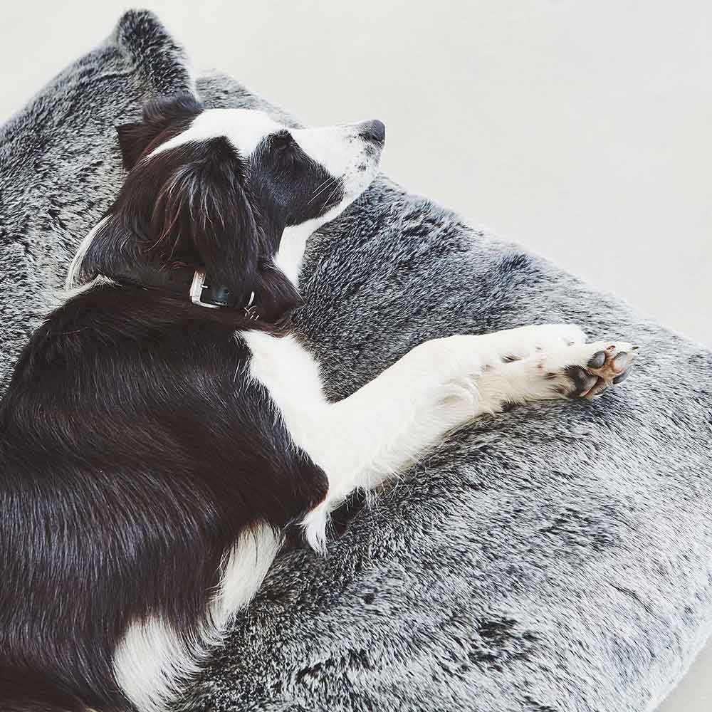 Felpa Hundekissen Anthrazit
