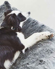 Felpa Hundekissen Anthrazit