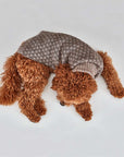 Aurora Hunde-Pullover