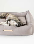 Dog bed TOVE