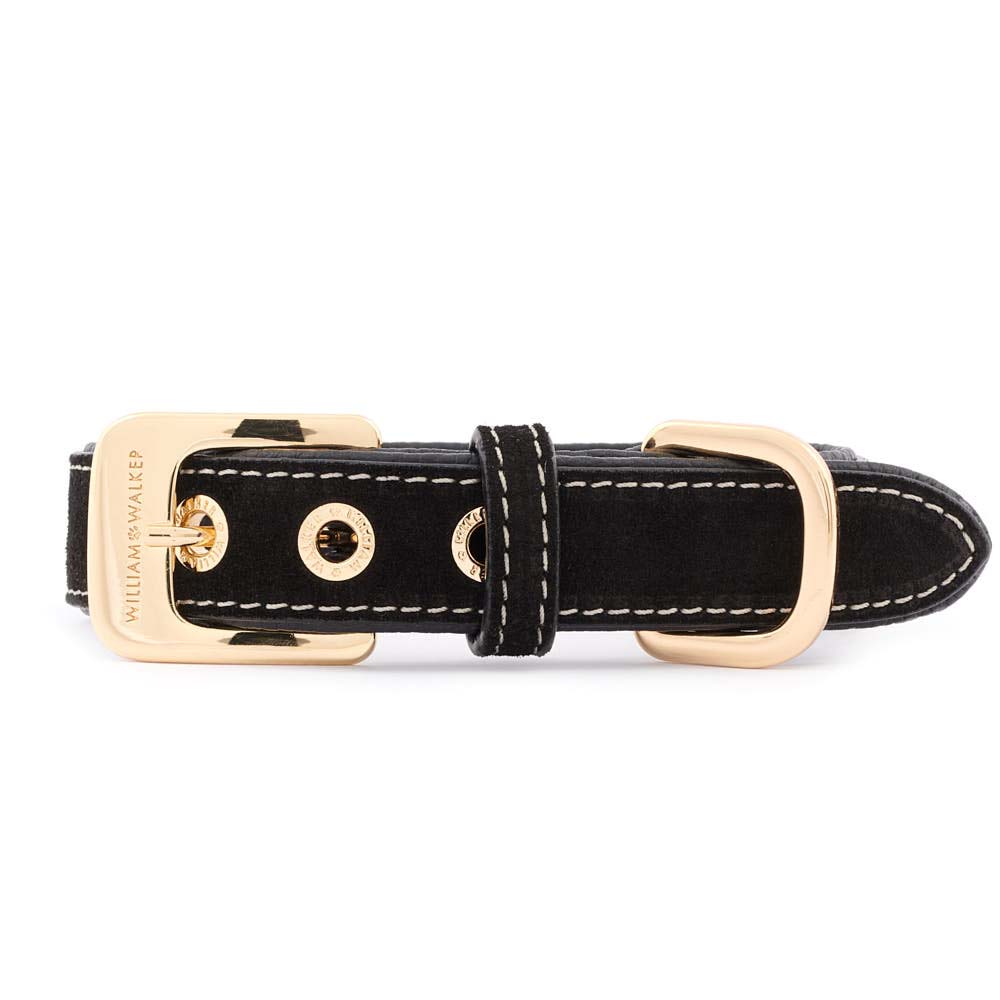 Hundehalsband Royal Black