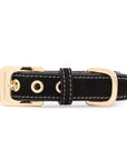 Hundehalsband Royal Black
