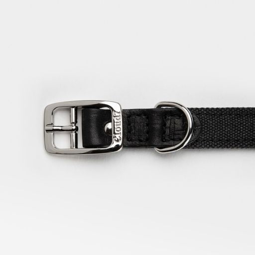 Hundehalsband Tivoli Black