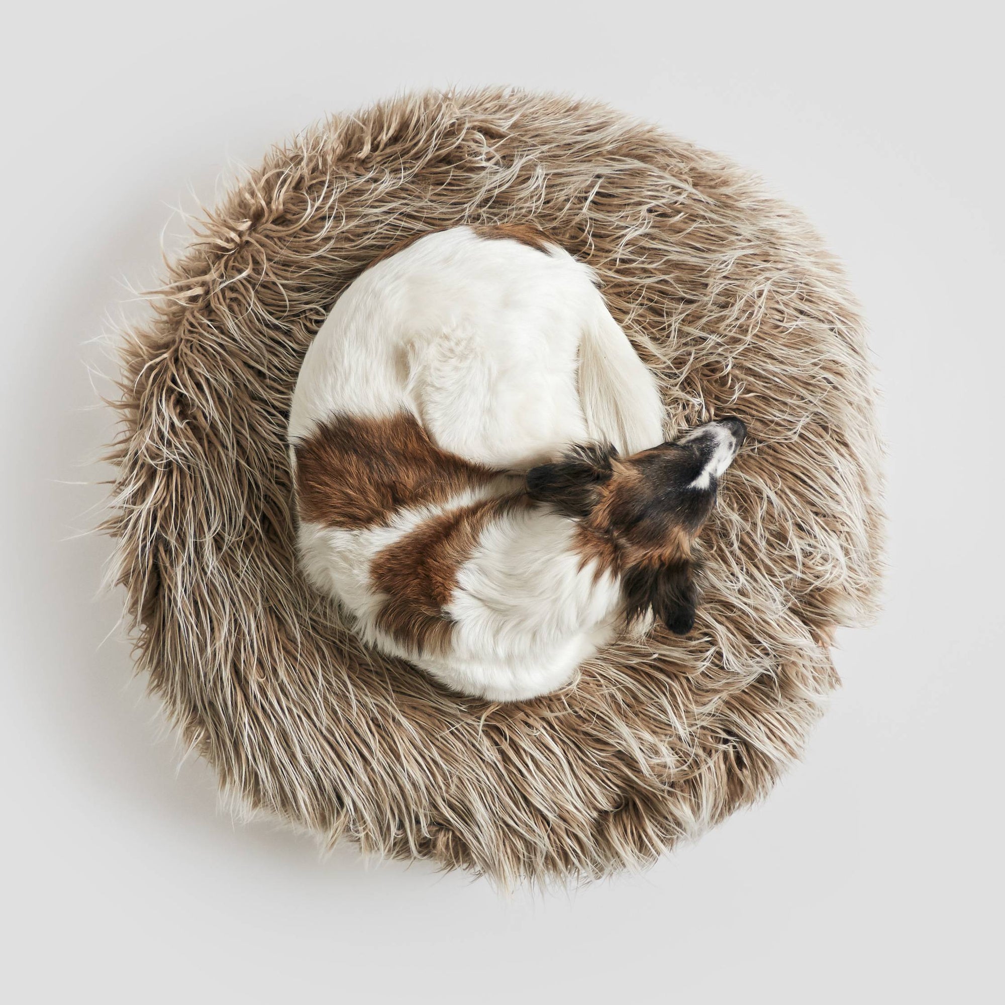 Hundepouf Yeti