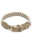 Hundehalsband Blomen Nature