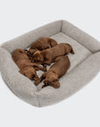 Dog bed Sleepy Deluxe Teddy