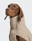 Hundepullover Gotland Beige