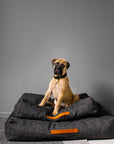 Dog bed / dog cushion Homey Mélange Anthra in size M