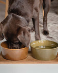 Dog Station acacia wood bowl mat