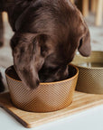 Dog Station acacia wood bowl mat