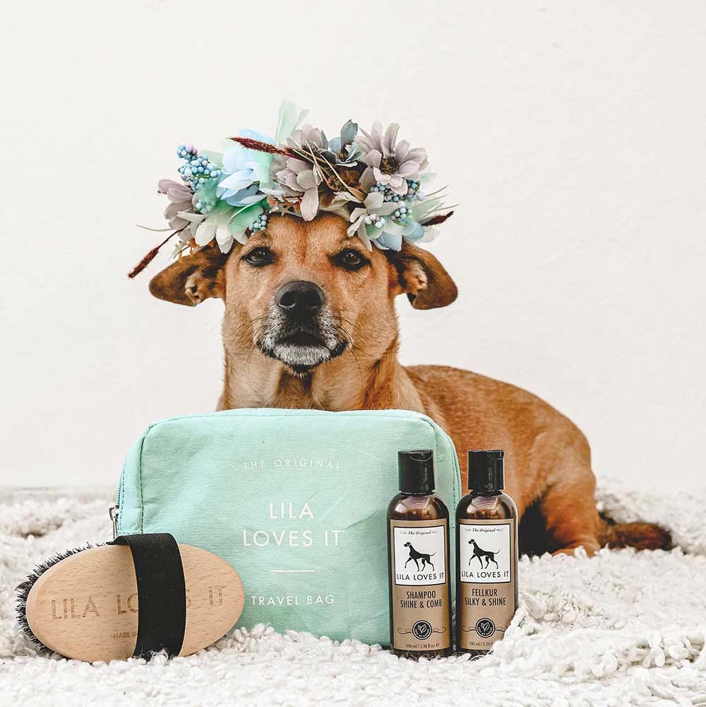 Double-sided dog brush vegan