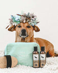 Double-sided dog brush vegan