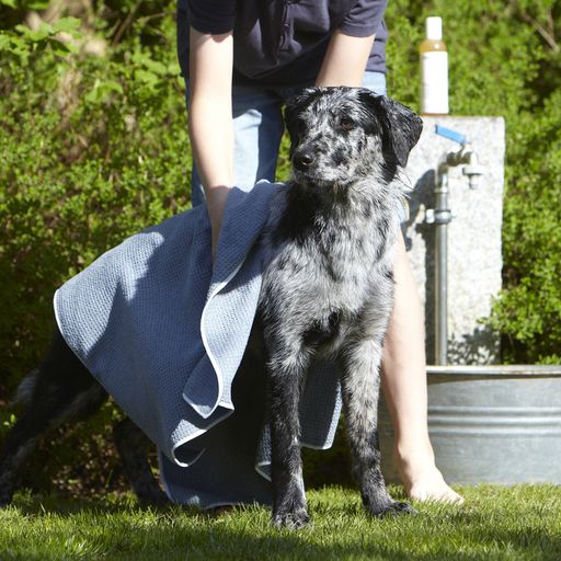 Dog bath towel Panno in light gray made of microfibre