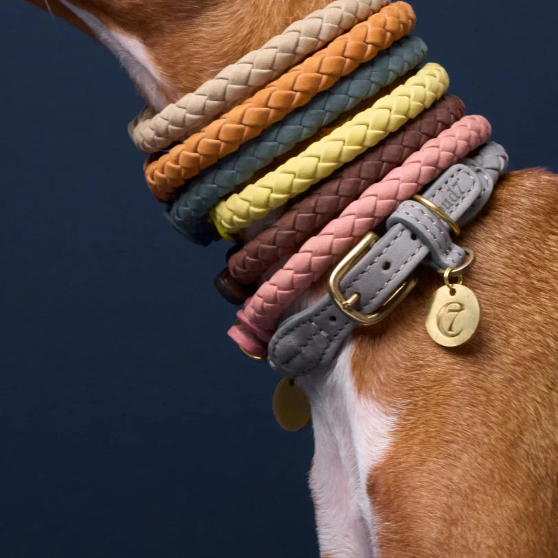 Hundehalsband Ravello Sandy / beige