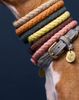 Hundehalsband Ravello Sandy / beige