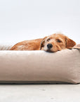 BOX bed Velluto greige