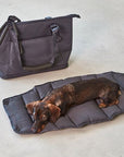 Hundetragetasche Sporta Asphalt / grau mit vielen smarten Details