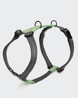 Y-Dog Harness Madeira Mint