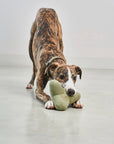 Hundespielzeug Quattro Dusty Green