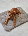 Steppdecke Linea Mocca