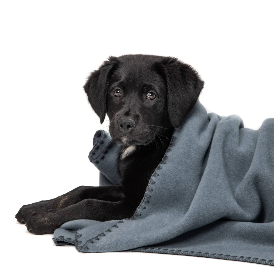 Dog Blanket Soft Fleece Dove Blue