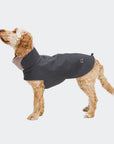 Dog Coat Brooklyn Graphite