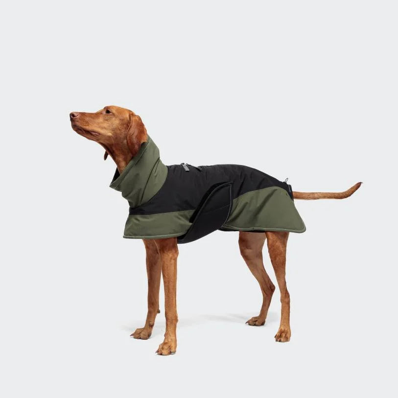 Dog coat winter Everest Black/Olive