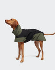 Dog coat winter Everest Black/Olive