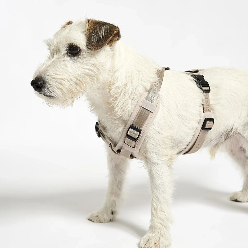 Dog harness Modena Greige