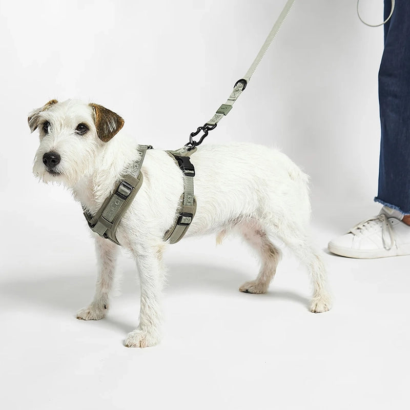 Dog harness Modena Grolive