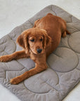 Steppdecke Linea Mocca