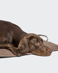Dog Travel Bed Water Repellent Graphite - Sand 