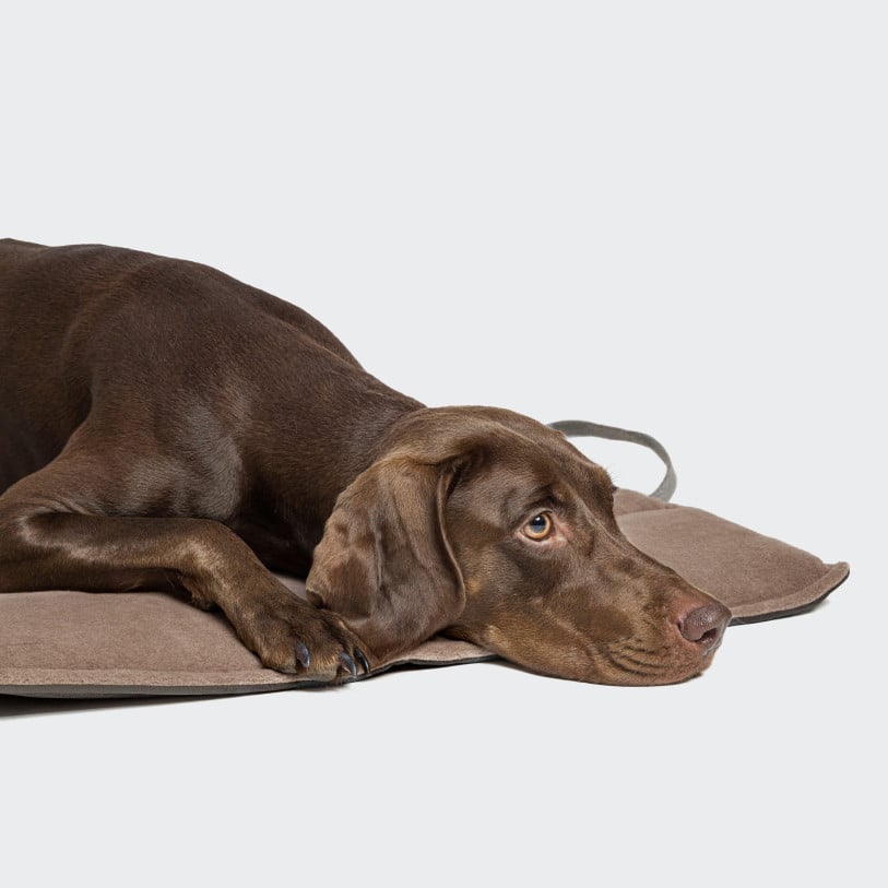 Dog Travel Bed Water Repellent Graphite - Sand 