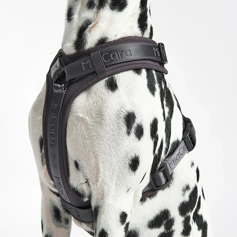 Dog harness Modena Asphalt