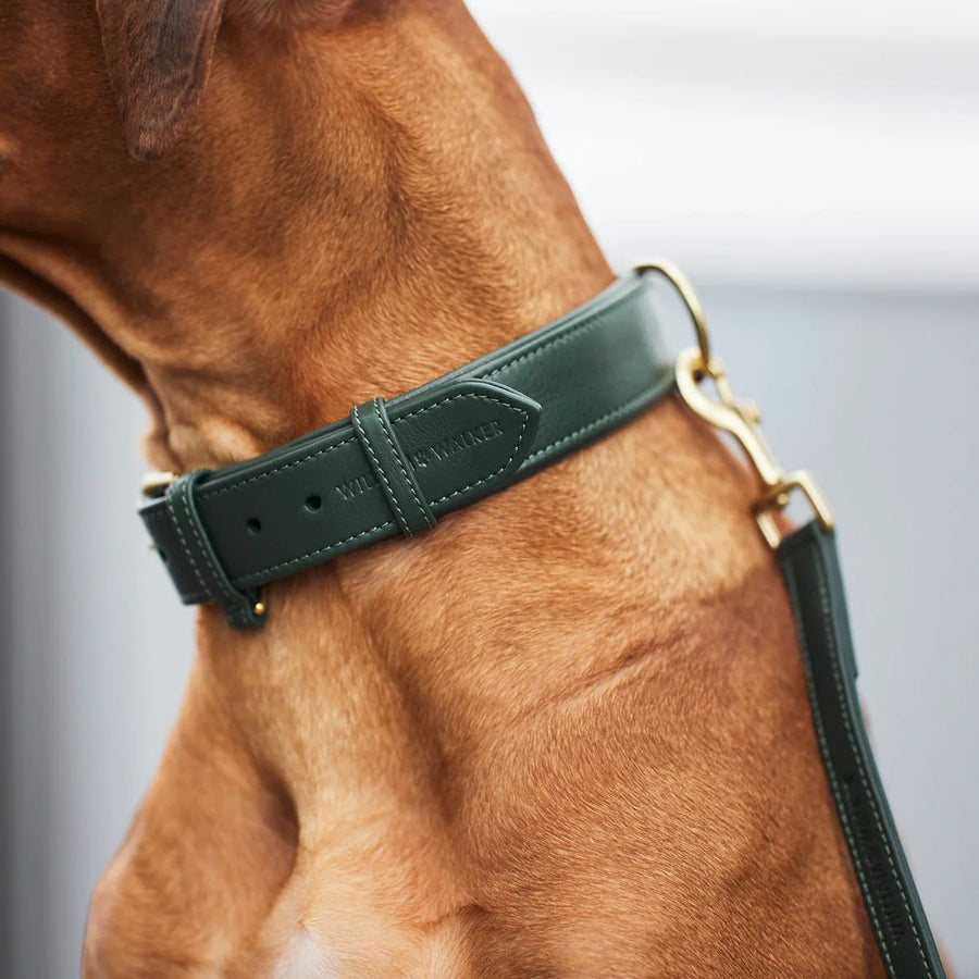 Hundehalsband Dark Moss