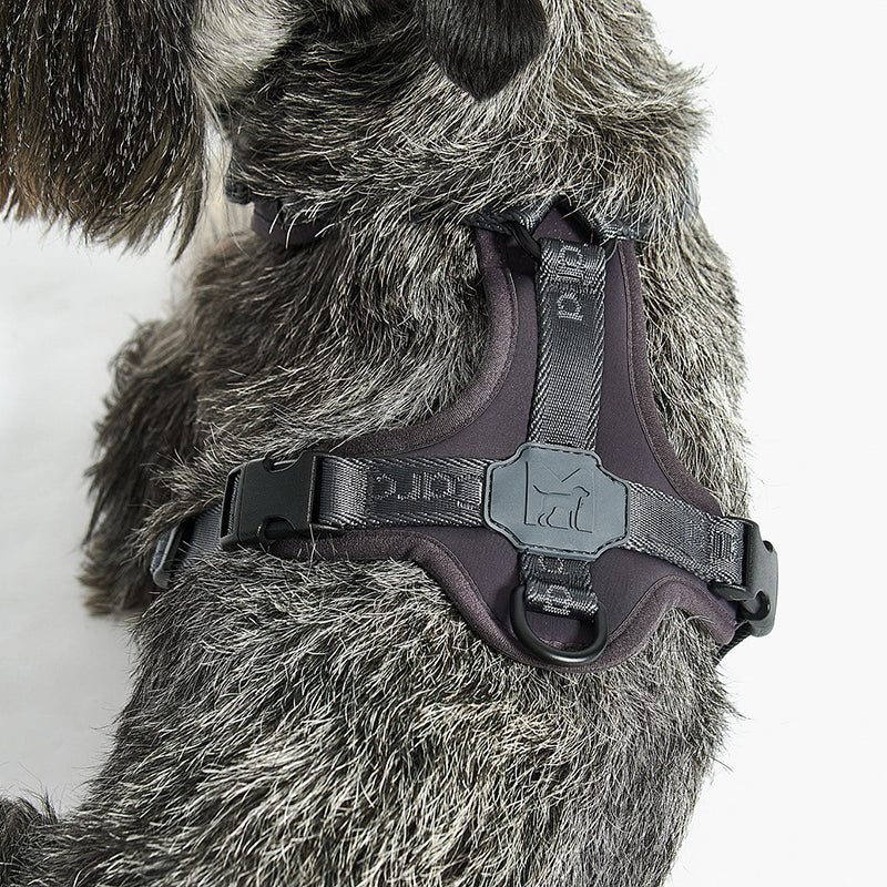 Dog harness Modena Asphalt