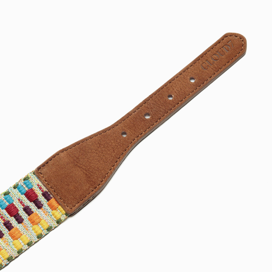 Dog collar Mexico Park