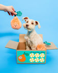 Schnüffelspiel Orange Hundespielzeug