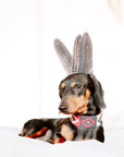 Hundehalsband Peruvian Indian Red XL