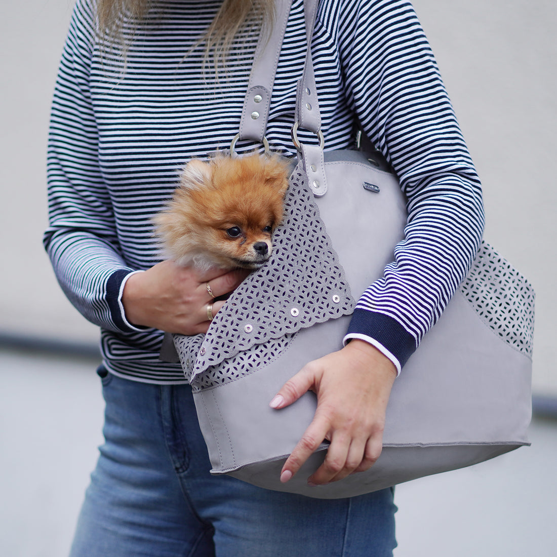 Hundetragetasche und Personal Bag Elva light grey