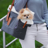 Dog carrier and personal bag Liiva grey