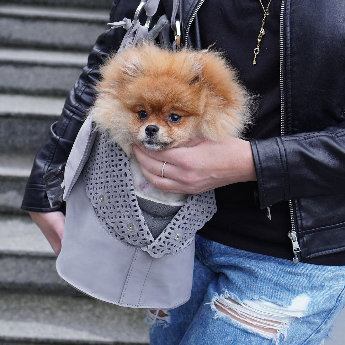 Porte-chien et sac personnel Elva gris clair