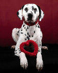 Hertha Heart: Medium Dog Toy Laboni