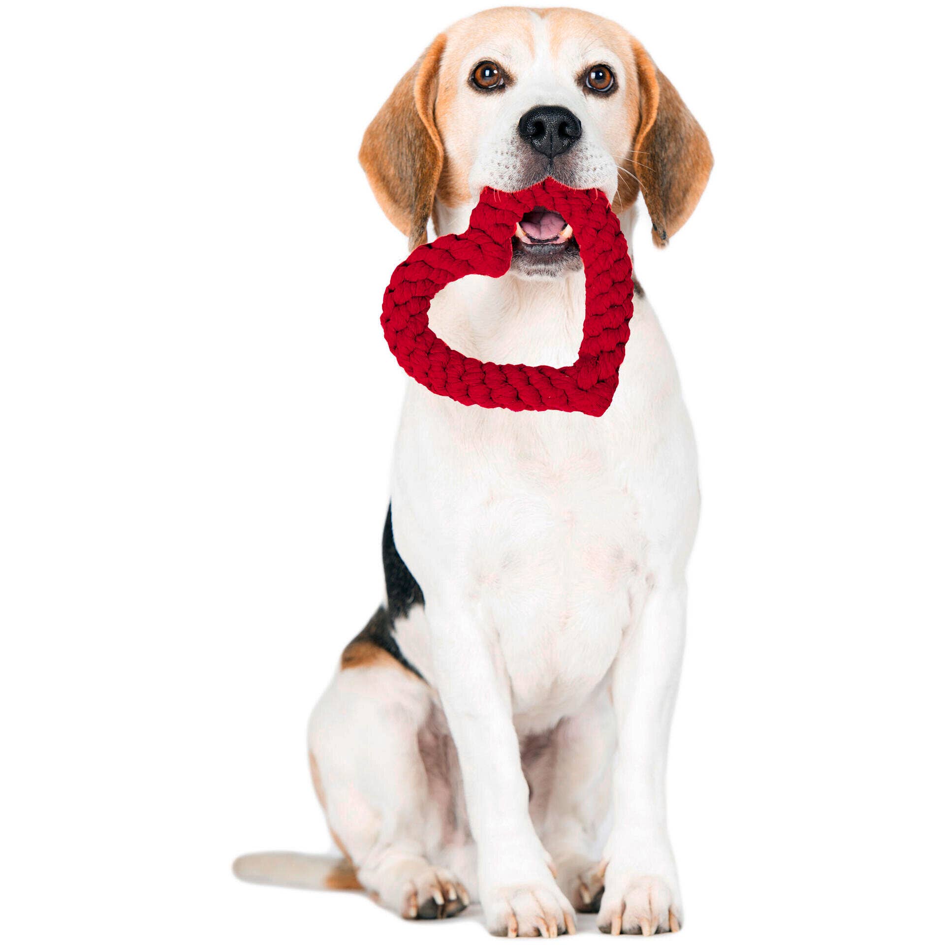 Hertha Heart: Medium Dog Toy Laboni