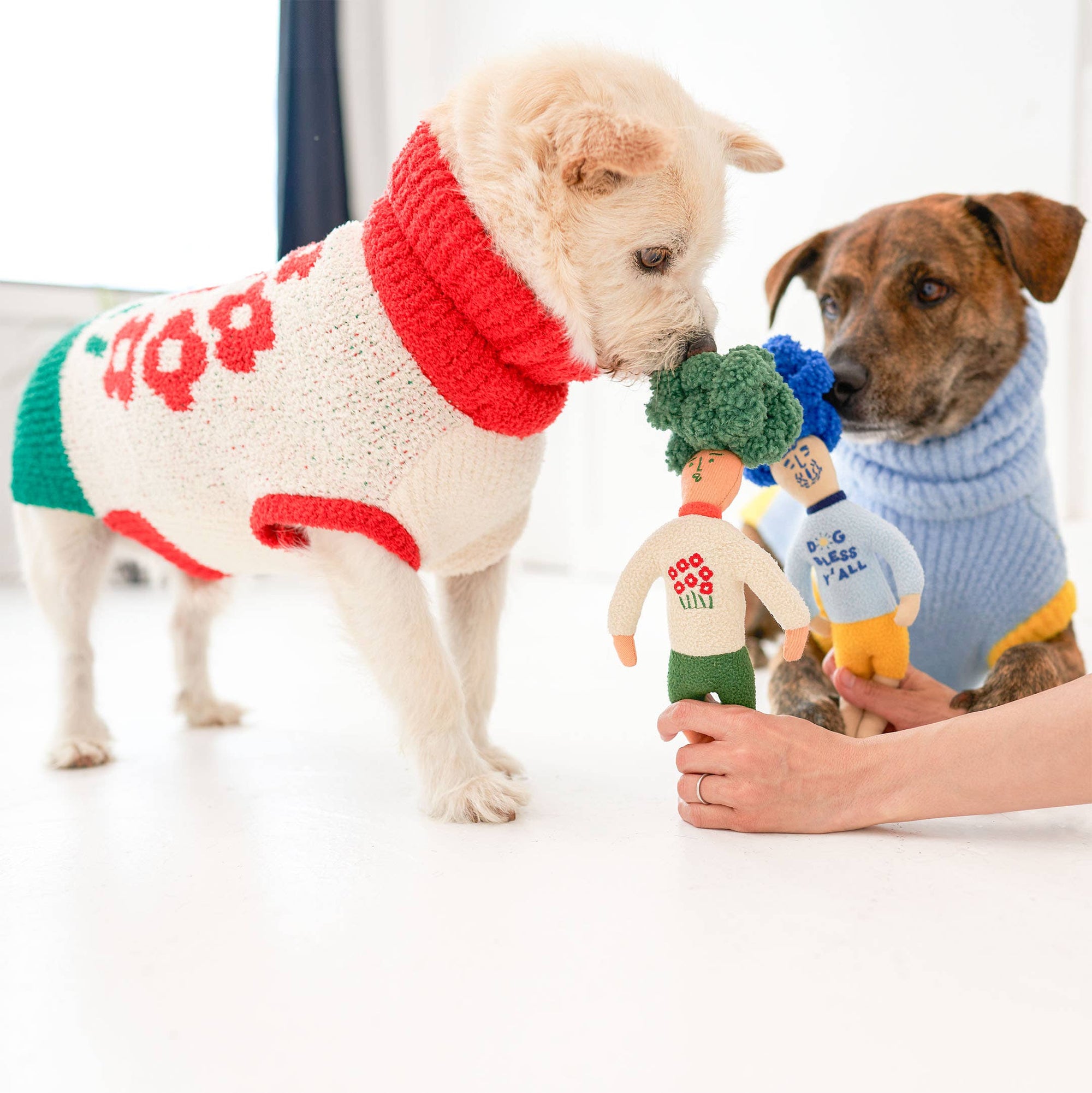 Schnüffelspiel Mensch Blau Hundespielzeug