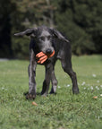 Thaddäus Tintenfisch Hundespielzeug Laboni